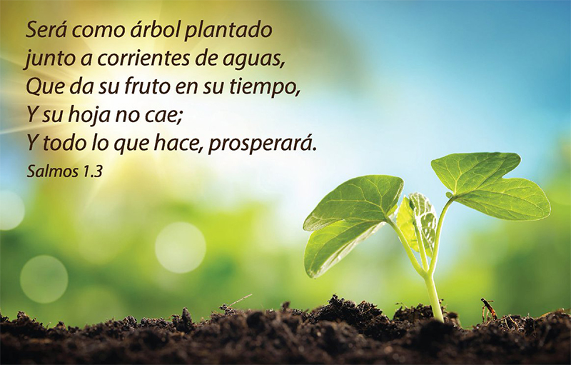 salmo-1.3